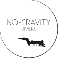 No Gravity